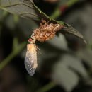 세보한의원 이미지