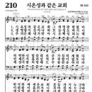 [새]210장 [통]245장 시온성과 같은 교회 이미지