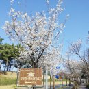 경서동 넘말공원 이미지