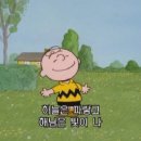 우리안펜션 | 쫑이와 메리 1호점 리뷰 | 반려견들이 하루종일 안 들어오던 애견펜션 후기🐶🐶
