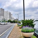 광남생활체육공원 축구장 이미지