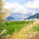 대저생태공원 이미지