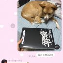 머리할라꼬 이미지