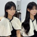 붙임머리