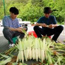 명품옥수수+ 이미지