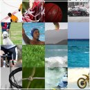 성은공조 이미지