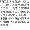 메이플 대카페 인소야닷컴의 흔한 허세 이미지