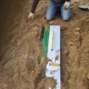 순천연향초등학교 이미지