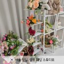 와이컨셉롯데 - 김해시 장유로 469 | 서울 잠실 데이트 코스 셀프 웨딩 스튜디오 오늘 예쁨
