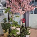 길몽포차 이미지