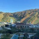 홍천 대명리조트 비발디파크 소노벨 B동 스위트룸 트윈베드 숙박 내돈내산