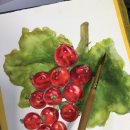 보태니컬아트(색연필화) 이미지