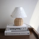 라탄공예 무드등 만들기 이미지