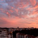 노을향기 이미지