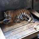 해림민박 이미지