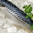 삼원시푸드 이미지