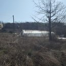 금천 행정사 사무소 이미지