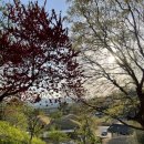 해피마트 | [22.04.18] 경주여행, 여기는 ‘찐’이다