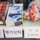대창청과