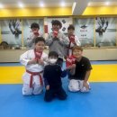 봉황태권도체육관 이미지