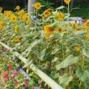 남해-170 이미지