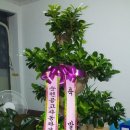 금화토건