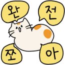 비엠살롱 이미지