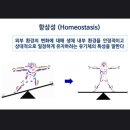 한다스토리 이미지