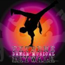 (주)스카이워크 이미지