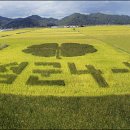 옥과 무창 이미지