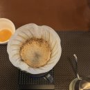마곡역 카페 블랭크(Blank) : 커피 브루잉 원데이클래스