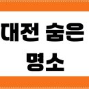 동춘당근린공원(2) | 대전 숨은 명소 6곳 총정리 | 식장산·동춘당·우암사적공원 완벽 여행 코스