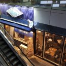 제레미20 강남역점