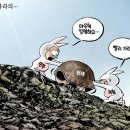 만평 이미지