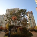 대우사랑1공인중개사사무소 이미지