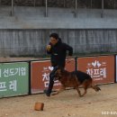 Gumiland 이미지
