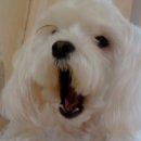 주공석사2지구 이미지