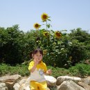 주사랑어린이집 이미지