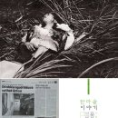 중부-현장-중부-1968 이미지