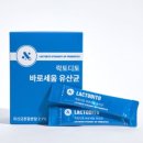 세움
