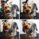 양정수지 이미지