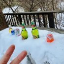 스탈릿캠핑펜션 이미지