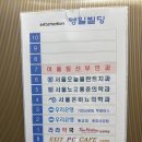 개쫄보의 (반매복)사랑니 발치 후기 + 신림역 사랑니치과 추천