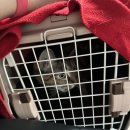 이솝동물병원 이미지