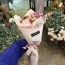 피다(Pida) 이미지