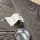 봉화가축병원 이미지