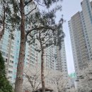 협성부동산중개사무소 이미지