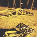 장사해수욕장(솔밭) | 2015.05.29~30 인스턴트 캠핑 (포항 인근 캠핑장 - 장사해수욕장 솔밭)