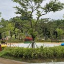 국민여가캠핑장 이미지