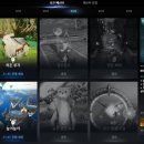 주식회사 그라지타운 이미지